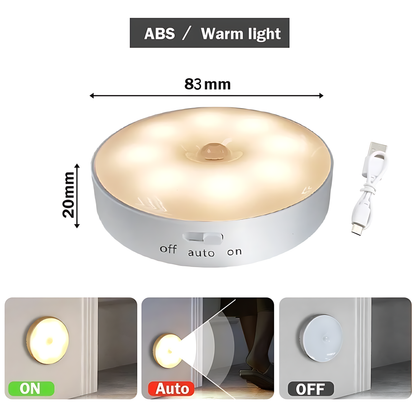 Motion Sensor LED Light