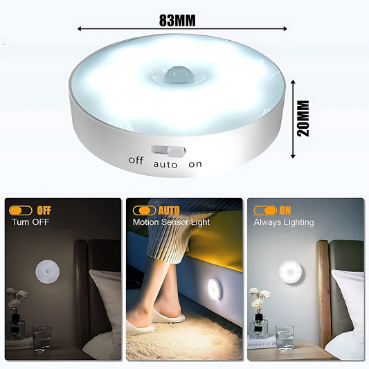 Motion Sensor LED Light